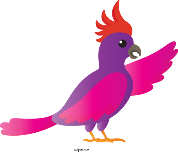 Free Animals Rooster Chicken Character For Bird Clipart Transparent Background