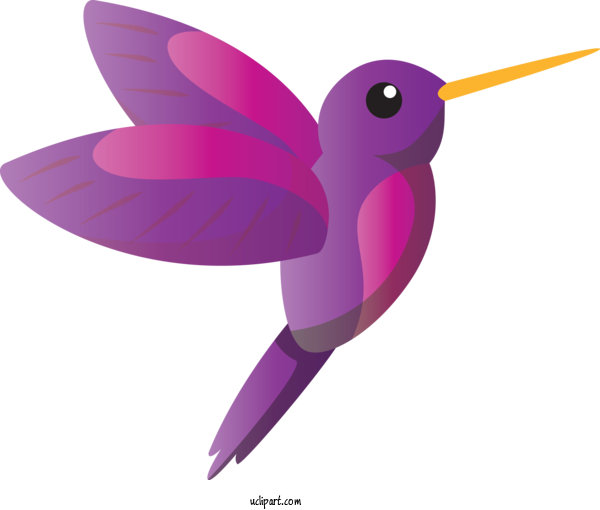 Free Animals Hummingbirds Beak Purple For Bird Clipart Transparent Background