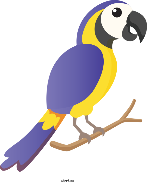 Free Animals Macaw Beak For Bird Clipart Transparent Background