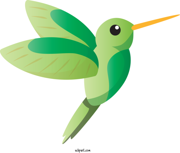 Free Animals Hummingbirds Insect Butterflies For Bird Clipart Transparent Background