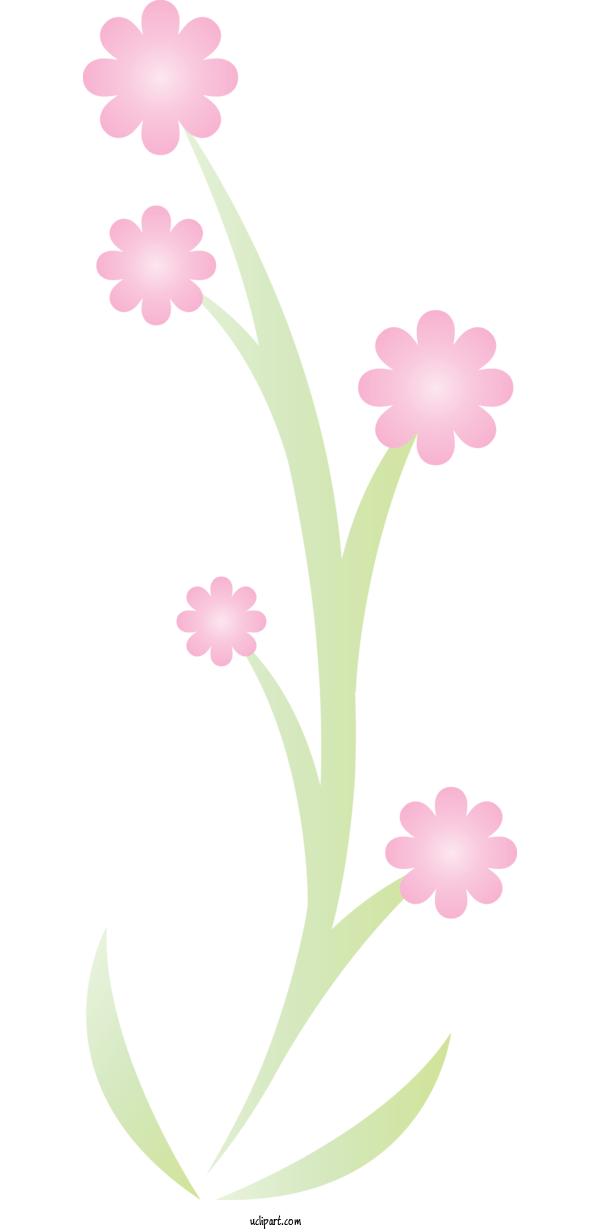 Free Holidays Plant Stem Petal Floral Design For Day Of The Dead Clipart Transparent Background