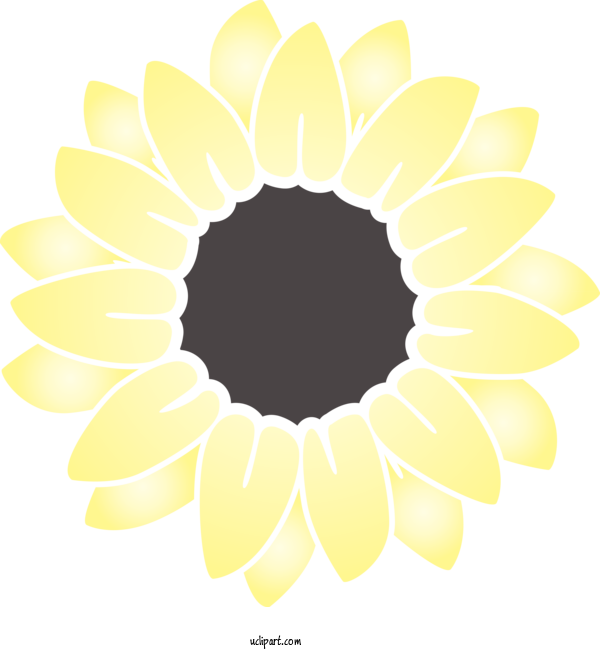 Free Flowers Circle Floral Design Yellow For Sunflower Clipart Transparent Background
