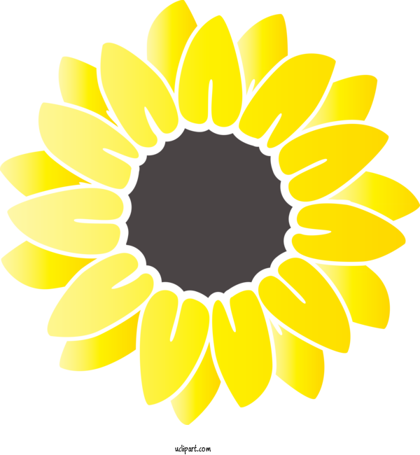 Free Flowers Cut Flowers Floral Design Sunflower Seed For Sunflower Clipart Transparent Background