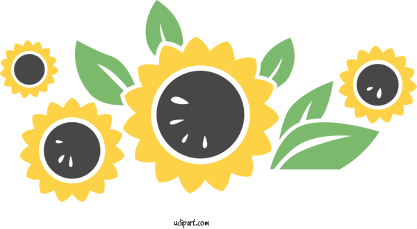 Free Flowers Common Sunflower Sunflower Seed Logo For Sunflower Clipart Transparent Background