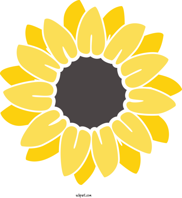 Free Flowers Cricut Design Silhouette For Sunflower Clipart Transparent Background