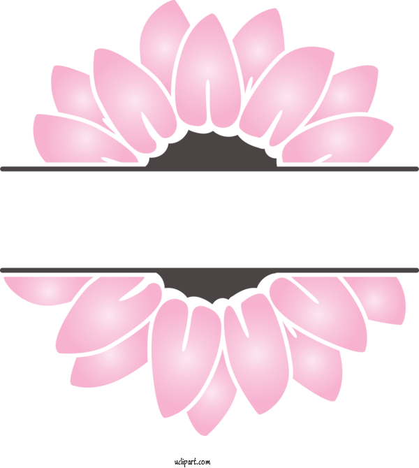 Free Flowers Pink M Meter For Sunflower Clipart Transparent Background