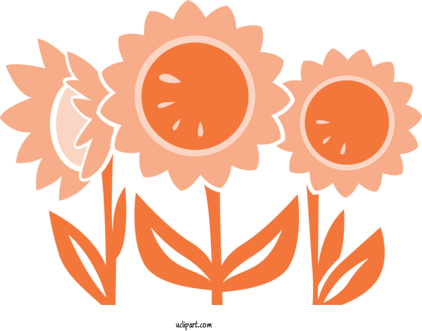 Free Flowers Floral Design Design Pattern For Sunflower Clipart Transparent Background