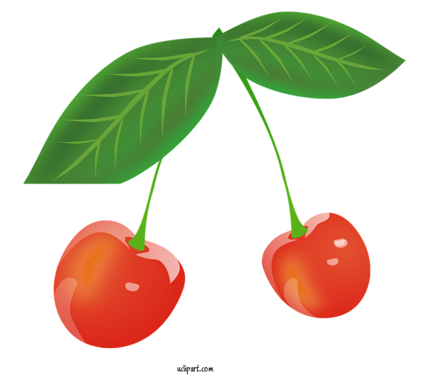 Free Food Cherry Pie Cherry Fruit For Fruit Clipart Transparent Background