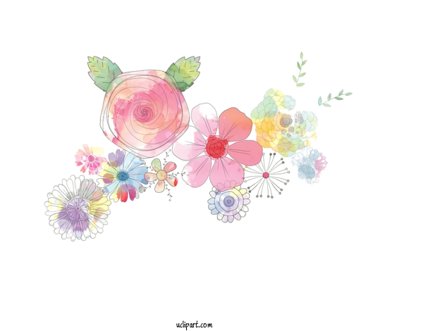 Free Nature Watercolor Painting Flower Floral Design For Plant Clipart Transparent Background