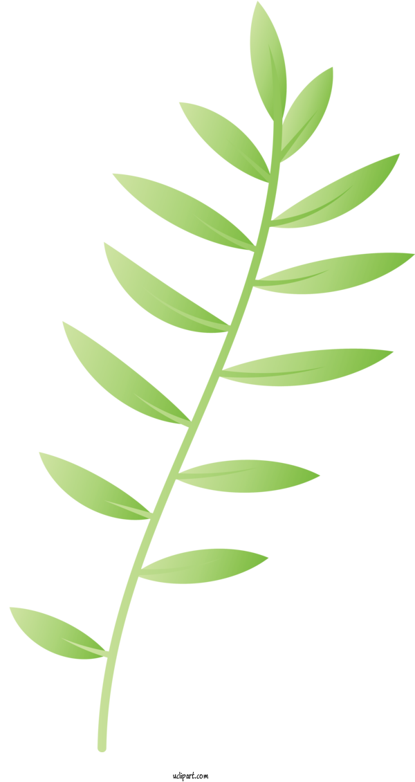 Free Nature Plant Stem Leaf Line For Leaf Clipart Transparent Background
