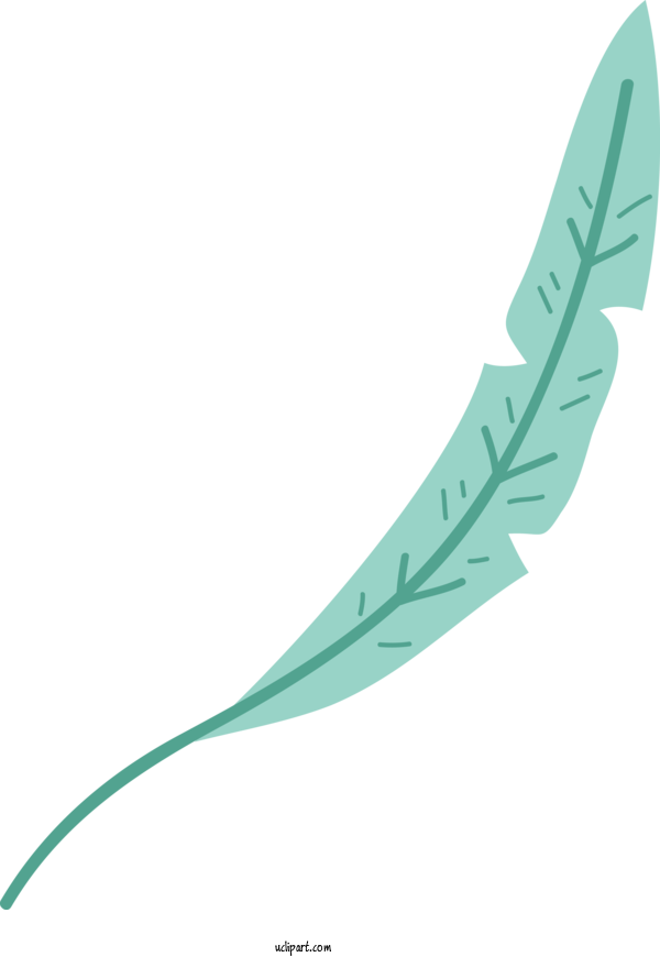 Free Nature Leaf Quill Feather For Leaf Clipart Transparent Background