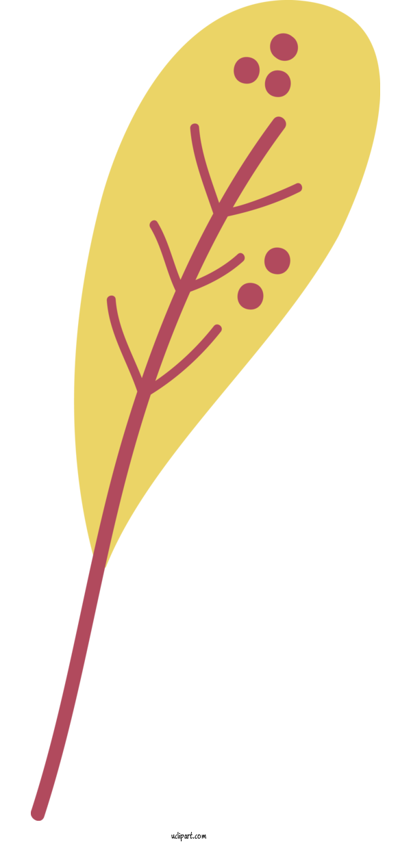 Free Nature Leaf Plant Stem Petal For Leaf Clipart Transparent Background