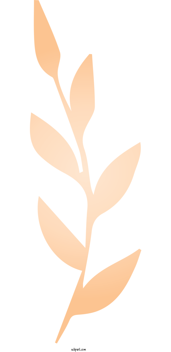 Free Nature Plant Stem Petal Leaf For Leaf Clipart Transparent Background