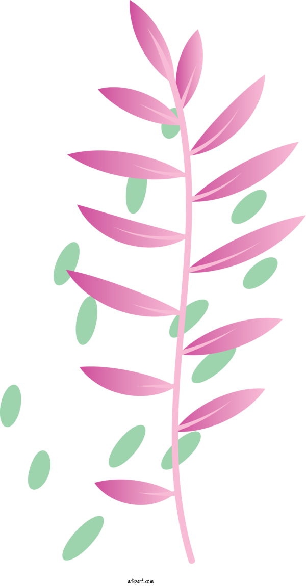 Free Nature Plant Stem Petal Leaf For Leaf Clipart Transparent Background