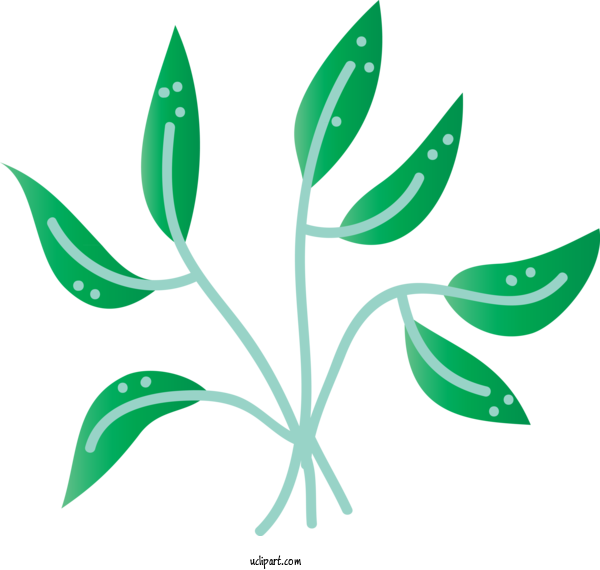 Free Nature Leaf Plant Stem Flower For Leaf Clipart Transparent Background