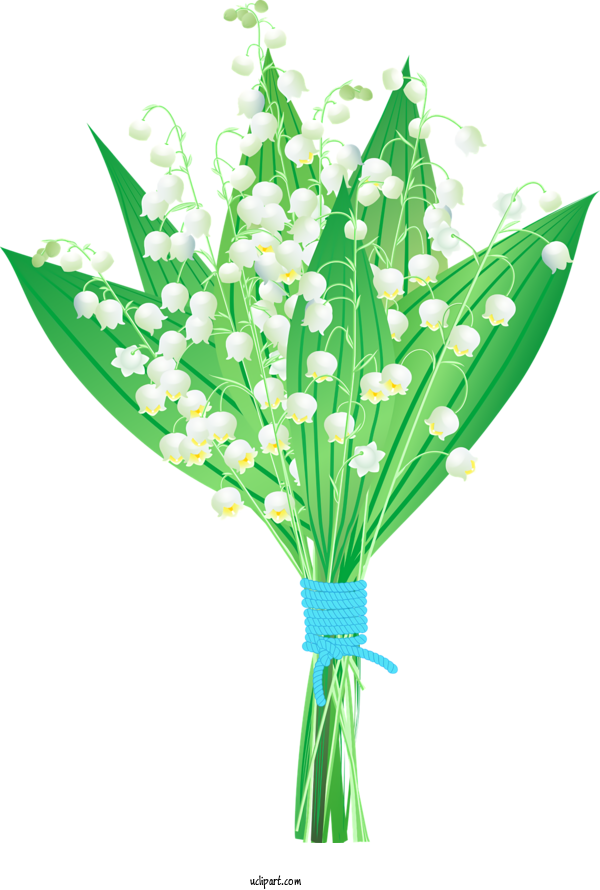 Free Nature Cut Flowers Flower Bouquet Lily Of The Valley For Plant Clipart Transparent Background