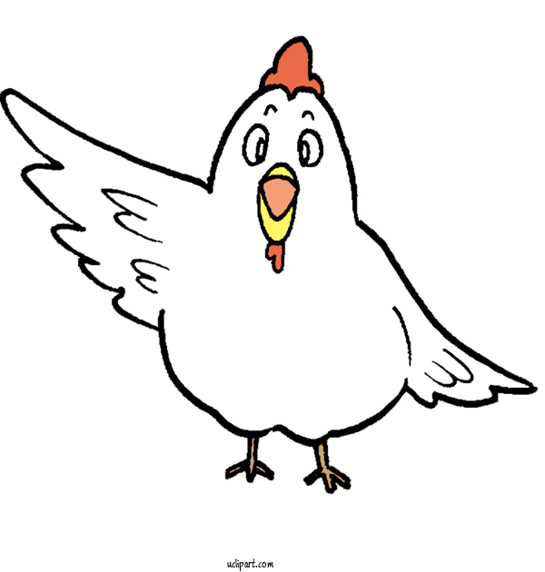 Free Animals Chicken Line Art Cartoon For Bird Clipart Transparent Background