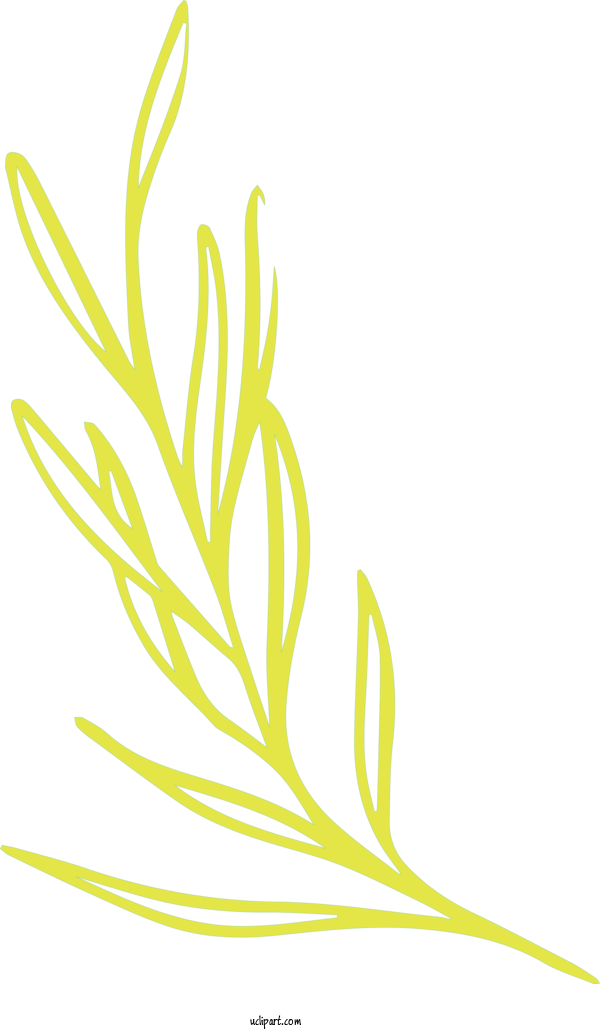 Free Nature Floral Design Flower Drawing For Leaf Clipart Transparent Background
