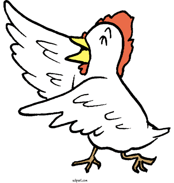 Free Animals Chicken Beak Birds For Bird Clipart Transparent Background