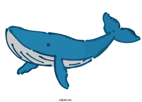 Free Animals Dolphin Whales LANCERS,INC. For Fish Clipart Transparent Background