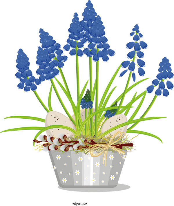 Free Nature Flower Plant Stem Floral Design For Plant Clipart Transparent Background