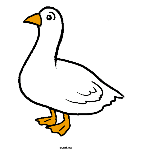 Free Animals Duck Goose Line Art For Bird Clipart Transparent Background