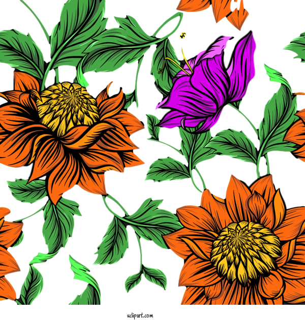 Free Nature Floral Design Chrysanthemum Cut Flowers For Plant Clipart Transparent Background