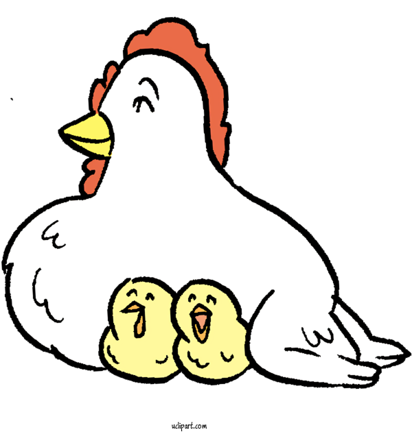 Free Animals Duck Rooster Birds For Bird Clipart Transparent Background