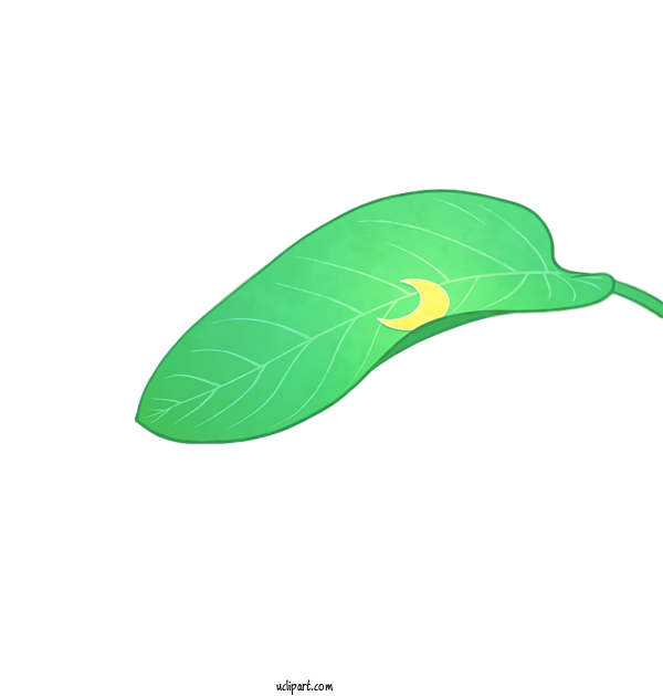 Free Nature Leaf Green Produce For Leaf Clipart Transparent Background