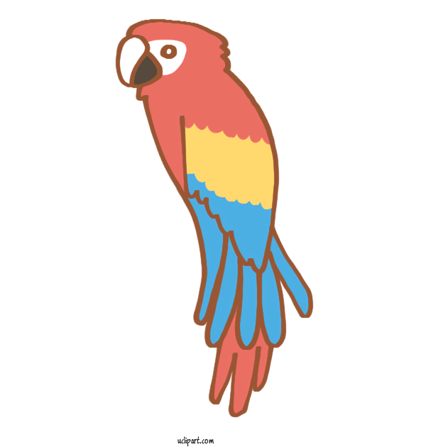 Free Animals Macaw Beak Actor For Bird Clipart Transparent Background