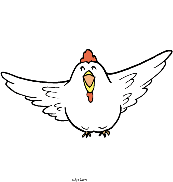 Free Animals Chicken Line Art Cartoon For Bird Clipart Transparent Background