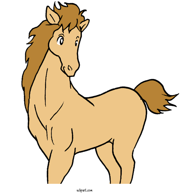 Free Animals Lion Mustang Foal For Horse Clipart Transparent Background