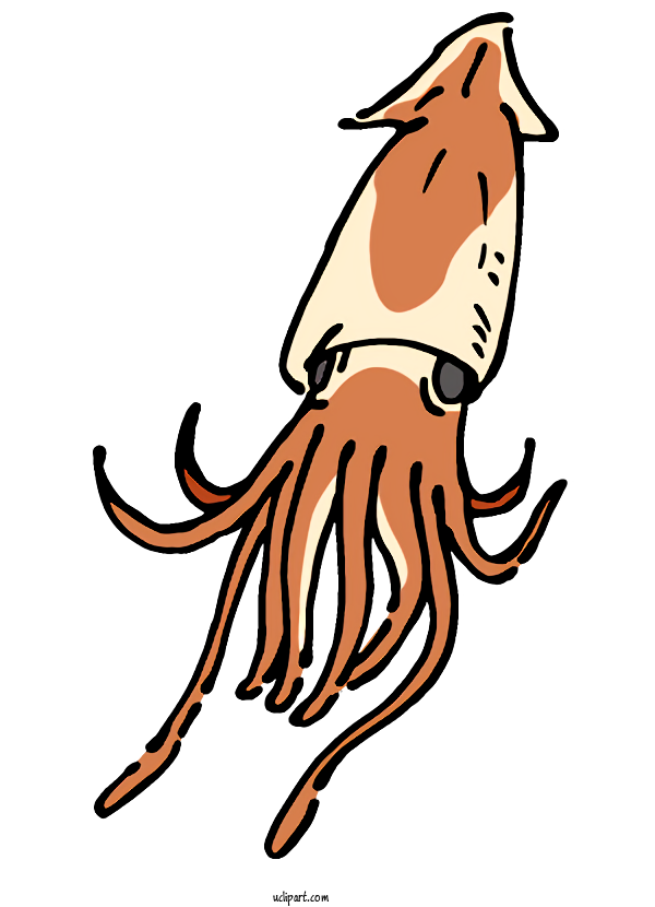Free Animals Atlantic Giant Squid Red Fox Colossal Squid For Fish Clipart Transparent Background