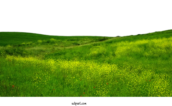 Free Nature Shrubland Vegetation Lawn For Landscape Clipart Transparent Background