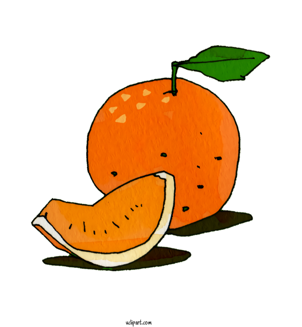 Free Food Pumpkin Fruit Orange S.A. For Fruit Clipart Transparent Background
