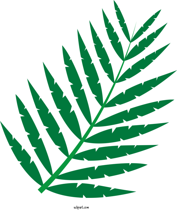 Free Nature Leaf Plant Stem Vector For Leaf Clipart Transparent Background