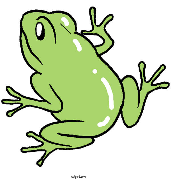 Free Animals Toad True Frog Line Art For Frog Clipart Transparent Background