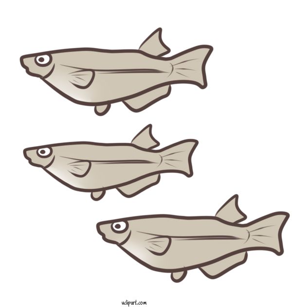 Free Animals プラスナイロン（株） Company Joint Stock Company For Fish Clipart Transparent Background