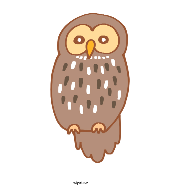 Free Animals Owl M Japanese Idol Cartoon For Bird Clipart Transparent Background