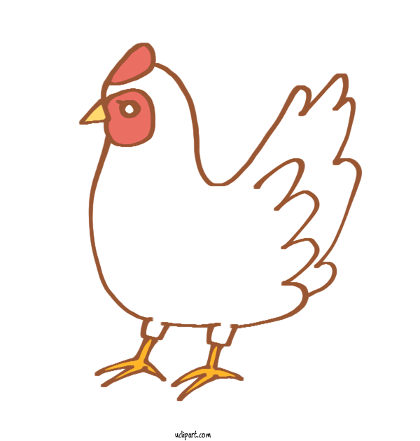 Free Animals Rooster Chicken Line Art For Bird Clipart Transparent Background