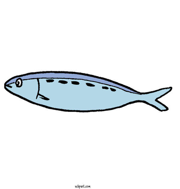 Free Animals Sardine Spoon Lure Fish For Fish Clipart Transparent Background
