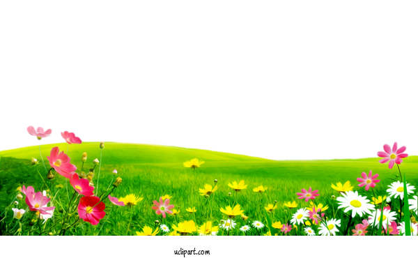 Free Nature Flower  Spring For Plant Clipart Transparent Background