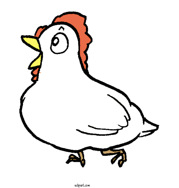 Free Animals Chicken Birds Line Art For Bird Clipart Transparent Background