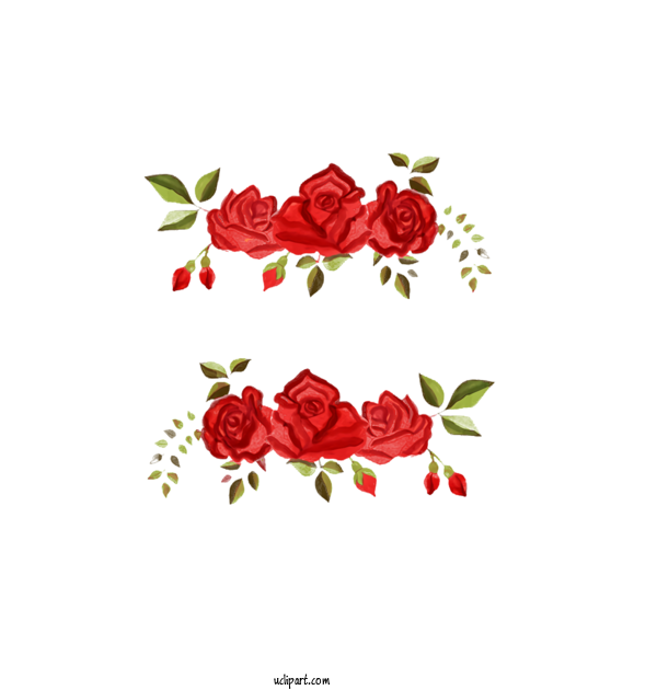 Free Nature Rose Design Garden Roses For Plant Clipart Transparent Background