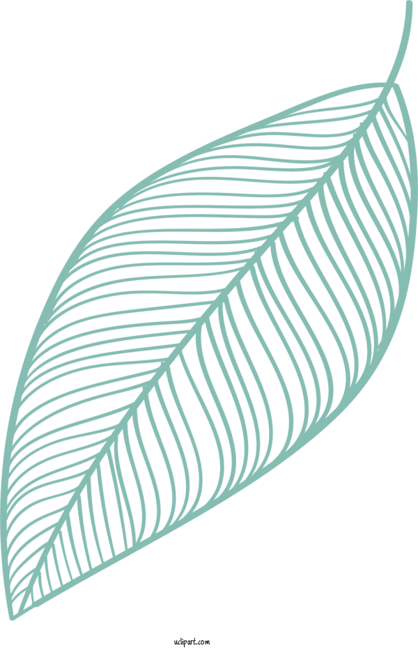 Free Nature Leaf Line Design For Leaf Clipart Transparent Background