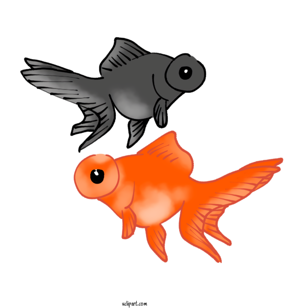 Free Animals Goldfish Fin Ray Finned Fishes For Fish Clipart Transparent Background