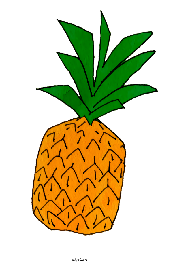 Free Food Pineapple Plant Stem Leaf For Fruit Clipart Transparent Background