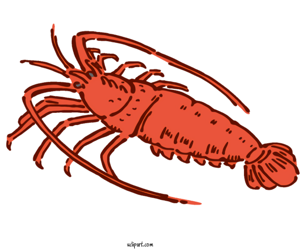 Free Animals American Lobster European Lobster Spiny Lobster For Fish Clipart Transparent Background
