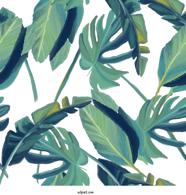 Free Nature Leaf Succulent Plant Curtain For Leaf Clipart Transparent Background