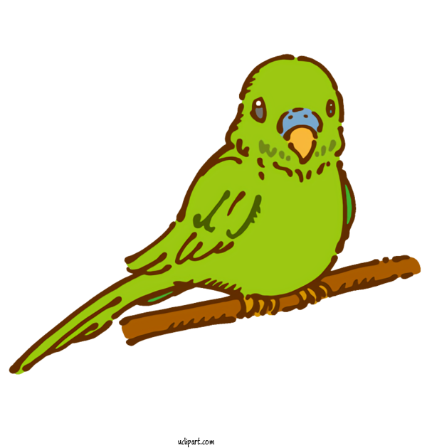 Free Animals Macaw Birds Chihuahua For Bird Clipart Transparent Background